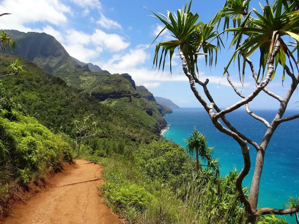 Sentier de randonnée - Île de Kauai - Odyssée américaine