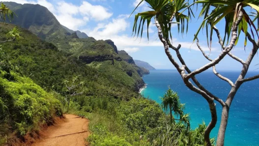 Sentier de randonnée - Île de Kauai - Odyssée américaine