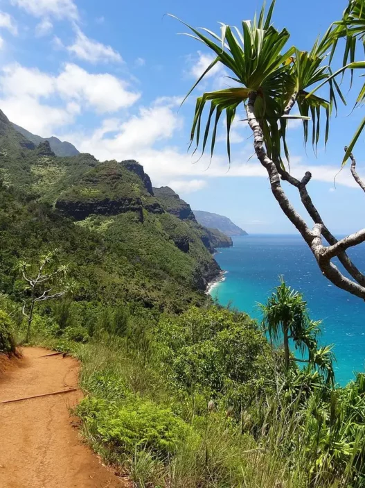 Sentier de randonnée - Île de Kauai - Odyssée américaine