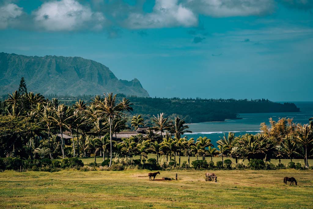 Kauai le North Shore - Odyssée américaine