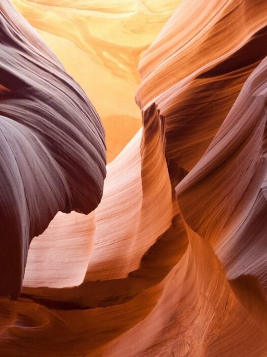 Antelope Canyon, situé au cœur des terres sacrées du peuple Navajo, est bien plus qu’un simple canyon : c’est une sculpture naturelle façonnée par des millénaires de vents et de crues violentes, qui s’engouffrent dans ses fissures pour polir le grès rouge et révéler des parois aux courbes presque irréelles. odyssée américaine