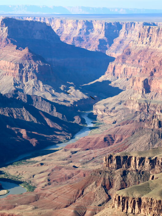 Moins fréquentée et plus difficile d’accès, la rive nord est idéale pour ceux qui recherchent la tranquillité. Avec ses paysages sauvages et ses points de vue exceptionnels, cette zone est parfaite pour une expérience plus intime et contemplative du Grand Canyon - Odyssée Américaine