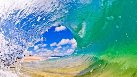 Big Island, photo de vague - c'est la plus grande et la plus jeune des îles hawaïennes ! Ici, la nature se déploie dans toute sa splendeur, mêlant volcans en activité, plages colorées, forêts tropicales, et cieux étoilés parmi les plus beaux du monde. Véritable terre de contrastes, Big Island abrite 9 des 12 zones climatiques mondiales