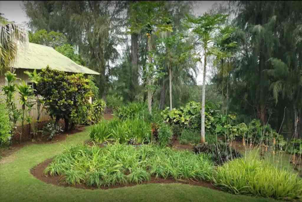 la grove farm, Hawaii