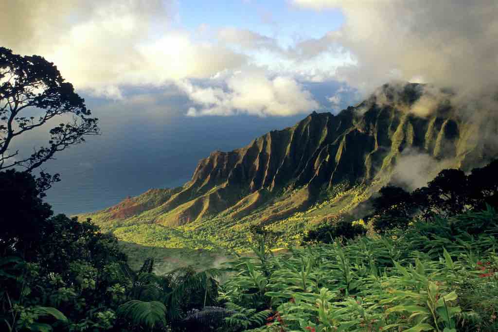 photo d'un paysage d'Hawaii, nature a l'état sauvage sur big Island, présentation archipel Hawaii - Odyssée Américaine
