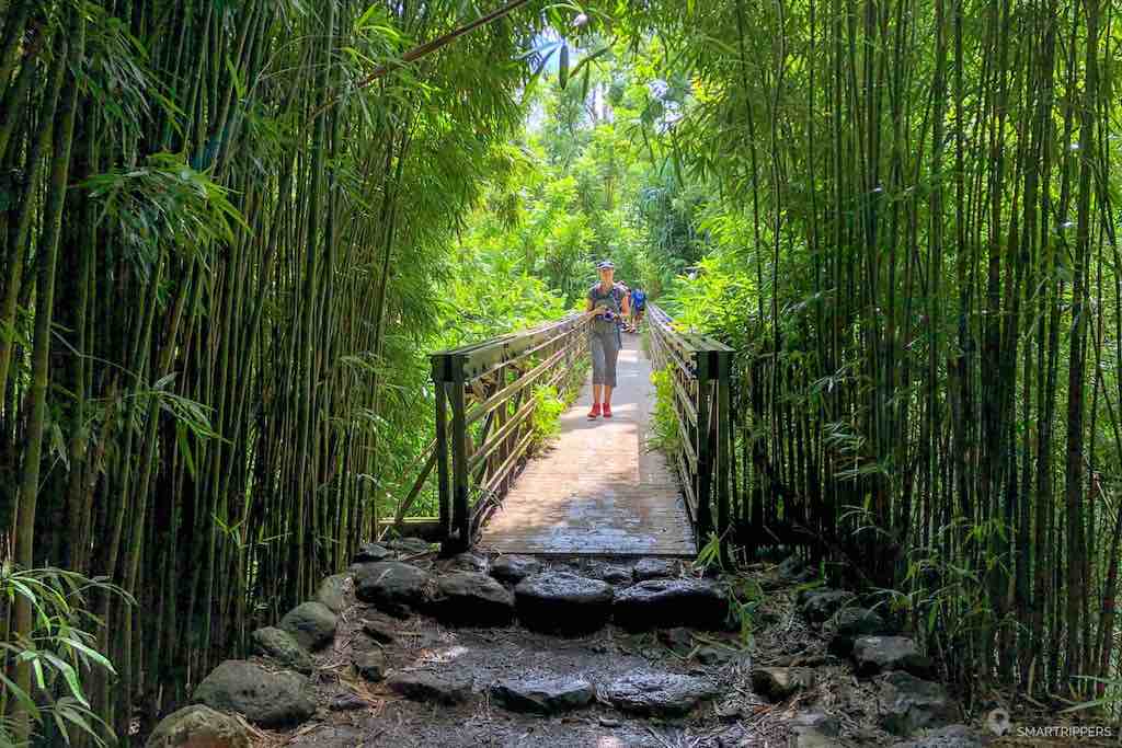 la forêt de bambous Pipiwai randonnée incontournable de Maui a côté de kipahulu, Maui, Hawaii