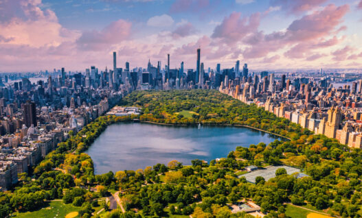 New York peut se visiter toute l’année, mais chaque saison offre une ambiance unique. Que ce soit l’automne avec les feuilles flamboyantes dans Central Park, les fêtes de fin d’année et la magie de Noël, ou l’été et ses festivals en plein air, la ville propose des activités pour chaque période de l’année. Voici quelques informations pratiques pour planifier votre séjour. Informations générales pour préparer son voyage à New York Les incontournables de New York Vie culturelle à New York Expériences touristiques et lieux incontournables Les lieux insolites de la ville Vie nocturne et sorties Conseils pratiques pour un séjour réussi à New York New York, une expérience gastronomique à ne pas manquer Les événements saisonniers et festivités Itinéraire recommandé pour une semaine complète Visiter New York : le guide et les bons plans - Odyssée Américaine